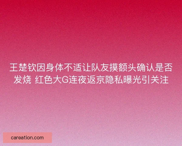 王楚钦因身体不适让队友摸额头确认是否发烧 红色大G连夜返京隐私曝光引关注
